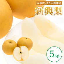 画像をギャラリービューアに読み込む, 【鳥取県八頭郡】新興梨 秀品 5kg まる大農園 10月20日注文締切