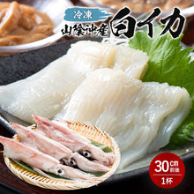画像をギャラリービューアに読み込む, 【山陰沖産】冷凍白イカ 単品