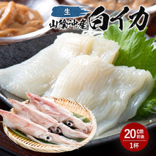 画像をギャラリービューアに読み込む, 【山陰沖産】白イカ 単品