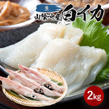 画像をギャラリービューアに読み込む, 【山陰沖産】白イカ