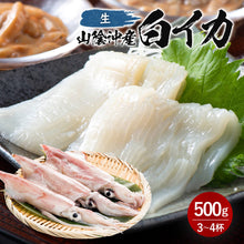画像をギャラリービューアに読み込む, 【山陰沖産】白イカ