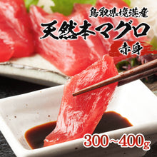 画像をギャラリービューアに読み込む, 【境港産】 天然本マグロ(黒マグロ) 赤身 300~400g 6月30日注文締切