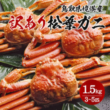 画像をギャラリービューアに読み込む, 【鳥取/境港】<訳あり> ボイル松葉ガニ 1.5kgセット(3~5枚) 足折れ1本あり 11月12日より順次出荷