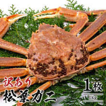 画像をギャラリービューアに読み込む, 【鳥取/鳥取港】 <訳あり>松葉ガニ A級(訳あり) 足折れ1本(小指除く) 早割価格の注文締切11月26日まで