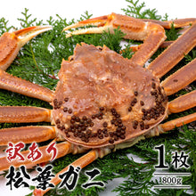 画像をギャラリービューアに読み込む, 【鳥取/鳥取港】 <訳あり>松葉ガニ A級(訳あり) 足折れ1本(小指除く) 早割価格の注文締切11月26日まで