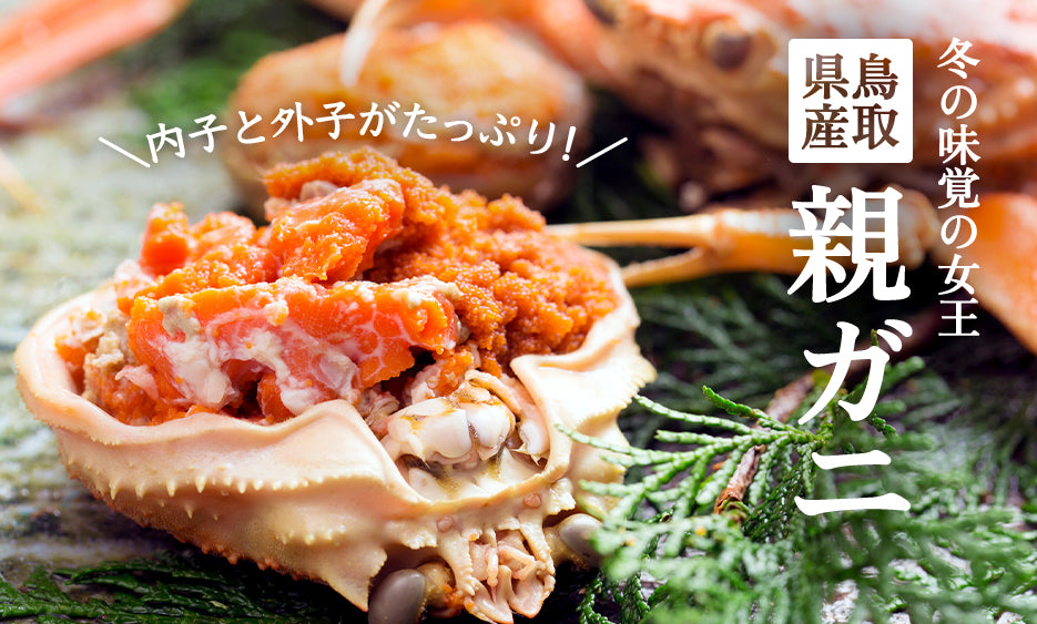 一度食べたら病みつきになる旨味！幻のカニ「親ガニ」 | さんチョク
