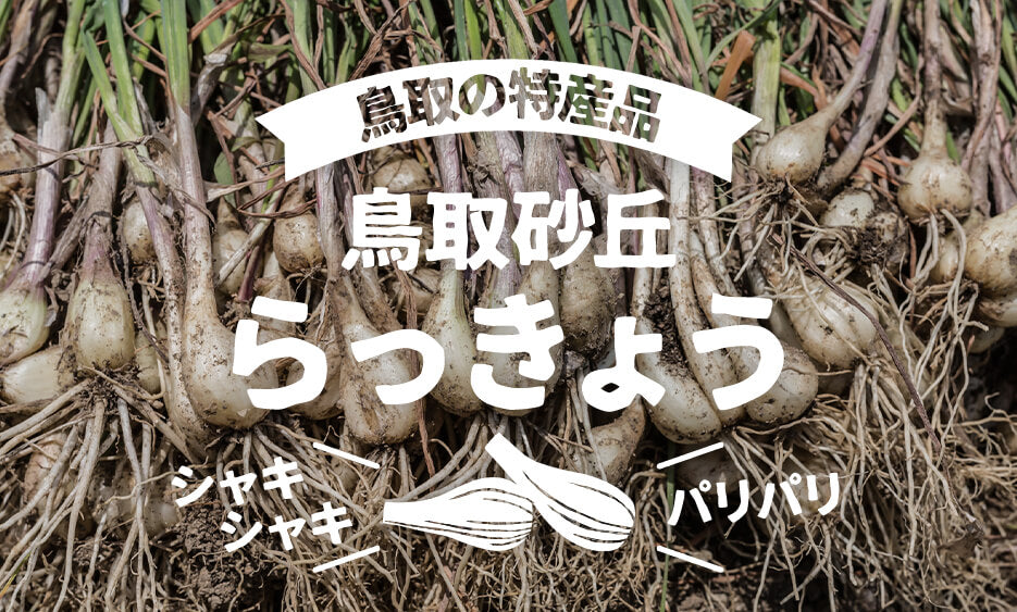 鳥取の砂丘らっきょう - 歯応え抜群！鳥取を代表する特産品 – さんチョク