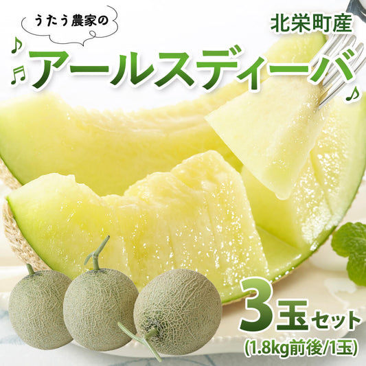 【北栄町産】アールスディーバ 3玉セット（1.8kg前後/1玉）9月末頃順次発送開始予定