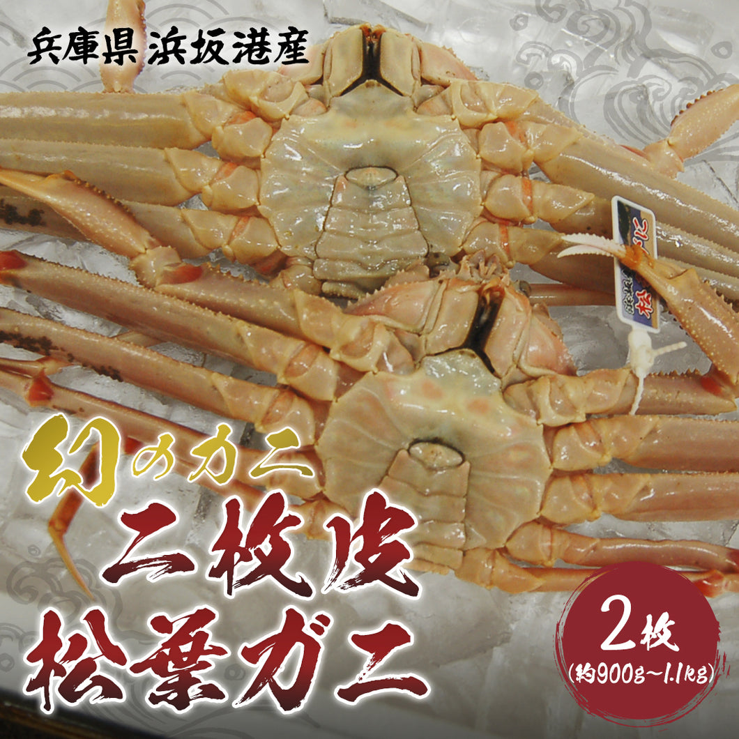 【兵庫/浜坂港】〈着日指定不可〉二枚皮松葉ガニ 2枚セット(約900g〜1.1kg) 11月下旬出荷予定