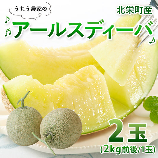 【北栄町産】アールスディーバ 2玉セット（2kg前後/1玉）9月末頃順次発送開始予定