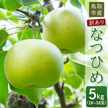 画像をギャラリービューアに読み込む, 【鳥取県福部町産】訳あり なつひめ 5kg(10～16玉) 安田農園 8月下旬頃順次発送開始予定
