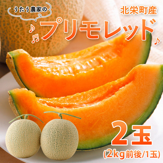 【北栄町産】プリモレッド 2玉セット（2kg前後/1玉）9月末頃順次発送開始予定