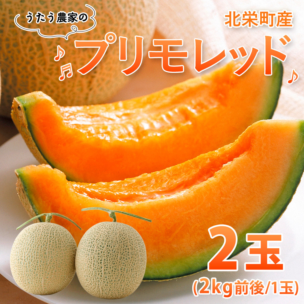 北栄町産】プリモレッド 2玉セット（2kg前後/1玉） – さんチョク