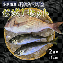 画像をギャラリービューアに読み込む, 【鳥取/鳥取港】獲れたて鮮魚 お試しセット 2種類（1人前）
