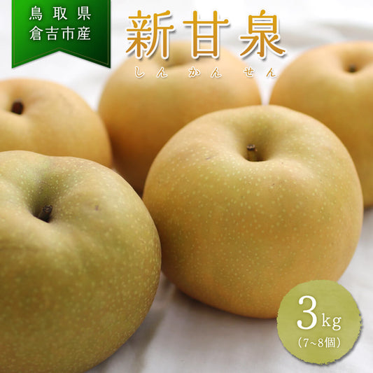 【鳥取県倉吉市産】新甘泉 秀品(3Lサイズ) 倉吉観光梨園 9月上旬以降順次発送