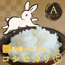 画像をギャラリービューアに読み込む, 【鳥取県産】因幡の白兎米 コシヒカリ 令和7年度産 精米済
