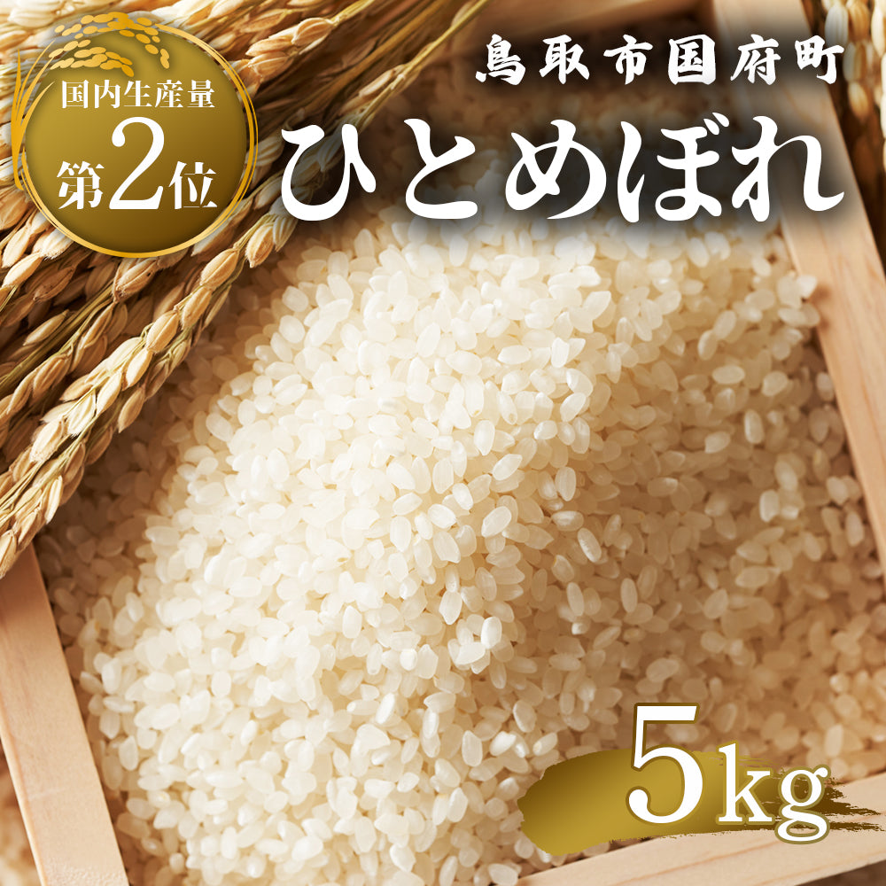 鳥取市国府町産 ひとめぼれ 令和7年度産 精米済 – さんチョク