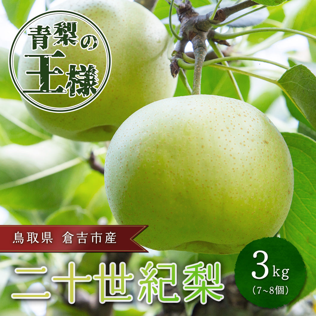 【鳥取県倉吉市産】完熟二十世紀梨 秀品(3kg/3Lサイズ/7〜8個) 倉吉観光梨園 9月上旬以降順次発送