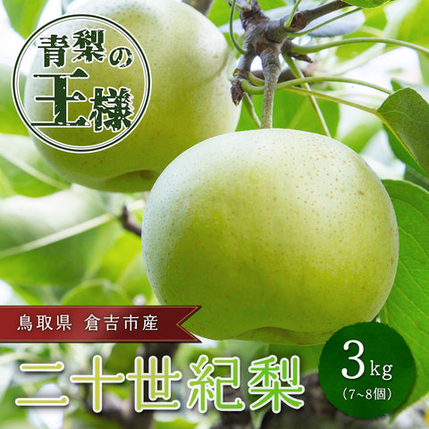 【鳥取県倉吉市産】完熟二十世紀梨 秀品(3kg/3Lサイズ/7〜8個) 倉吉観光梨園 注文締切8月31日