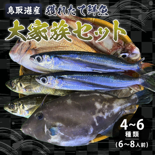 【鳥取/鳥取港】獲れたて鮮魚 大家族セット 4〜6種類（6〜8人前）