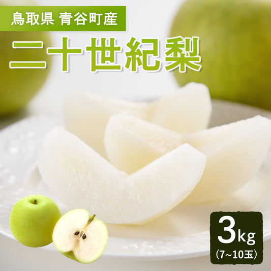 【鳥取県青谷町産】二十世紀梨 秀品 3kg(6～10玉) ひかり農園 9月上旬頃順次発送開始予定