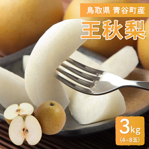 【鳥取県青谷町産】王秋梨 秀品 3kg(5～8個) ひかり農園 11月上旬頃順次発送開始予定
