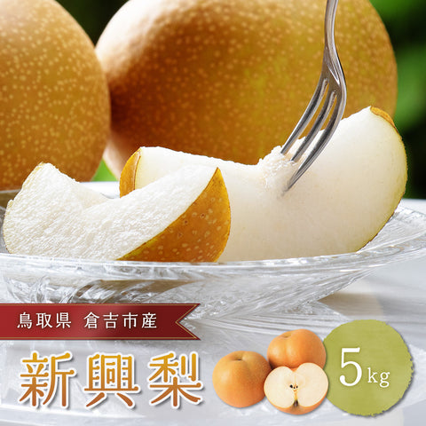 【鳥取県倉吉市産】新興梨 秀品 家庭用 5kg 倉吉観光梨園 10月20日以降順次発送