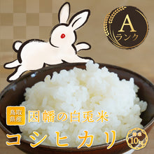 画像をギャラリービューアに読み込む, 【鳥取県産】因幡の白兎米 コシヒカリ 令和7年度産 精米済 10kg（5kg×2袋）

