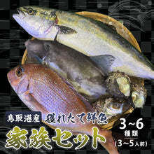 画像をギャラリービューアに読み込む, 【鳥取/鳥取港】獲れたて鮮魚 家族セット  3〜6種類（3～5人前）
