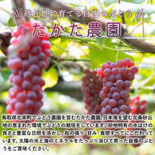 画像をギャラリービューアに読み込む, 【鳥取県北栄町産】 デラウェア 秀品 800g(400gパック×2)
