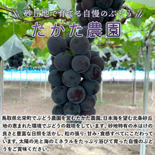 画像をギャラリービューアに読み込む, 【鳥取県北栄町産】 高妻 秀品 1.2～1.5kg(2房)
