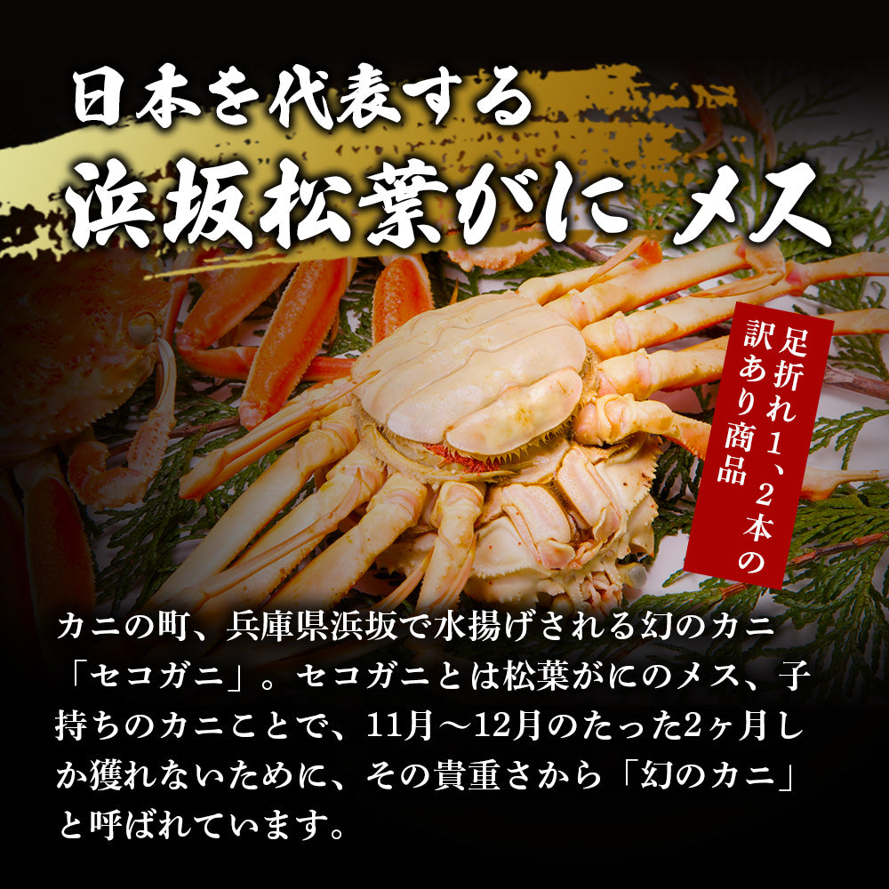 訳あり】親ガニ(冷凍) 兵庫県浜坂産 小サイズ 5枚 12/30年内注文締切 12/31まで着日指定可 – さんチョク