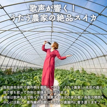 画像をギャラリービューアに読み込む, 【北栄町産スイカ】ピノガール 3玉セット（3kg前後/1玉）5月中旬頃発送開始予定
