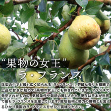 画像をギャラリービューアに読み込む, 【鳥取県青谷町産】ラ・フランス 秀品 3kg(8～12個) ひかり農園 11月上旬頃順次発送開始予定

