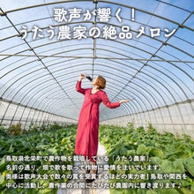画像をギャラリービューアに読み込む, 【北栄町産】プリモレッド 3玉セット（1.8kg前後/1玉）
