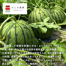 画像をギャラリービューアに読み込む, 【北栄町産スイカ】ピノガール 2玉セット（2.5kg～/1玉）

