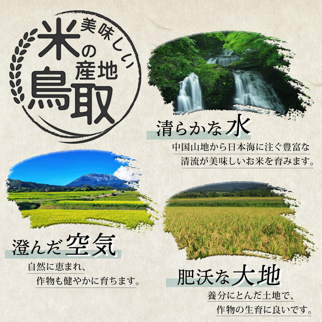 令和6年産 きぬむすめ 10kg 鳥取県 2/17に精米予定 楽天市場】【予約】新米【令和6年産】【鳥取県産】極太米「きぬ