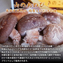 画像をギャラリービューアに読み込む, 【鳥取/八頭町産】肉厚原木生しいたけ とっとり115 2月10日より順次出荷開始
