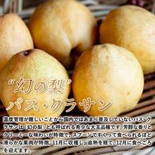 画像をギャラリービューアに読み込む, 【鳥取県青谷町産】パス・クラサン 秀品 3kg(5～8個) ひかり農園 12月上旬頃順次発送開始予定
