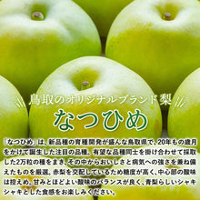 画像をギャラリービューアに読み込む, 【鳥取県福部町産】訳あり なつひめ 5kg 安田農園
