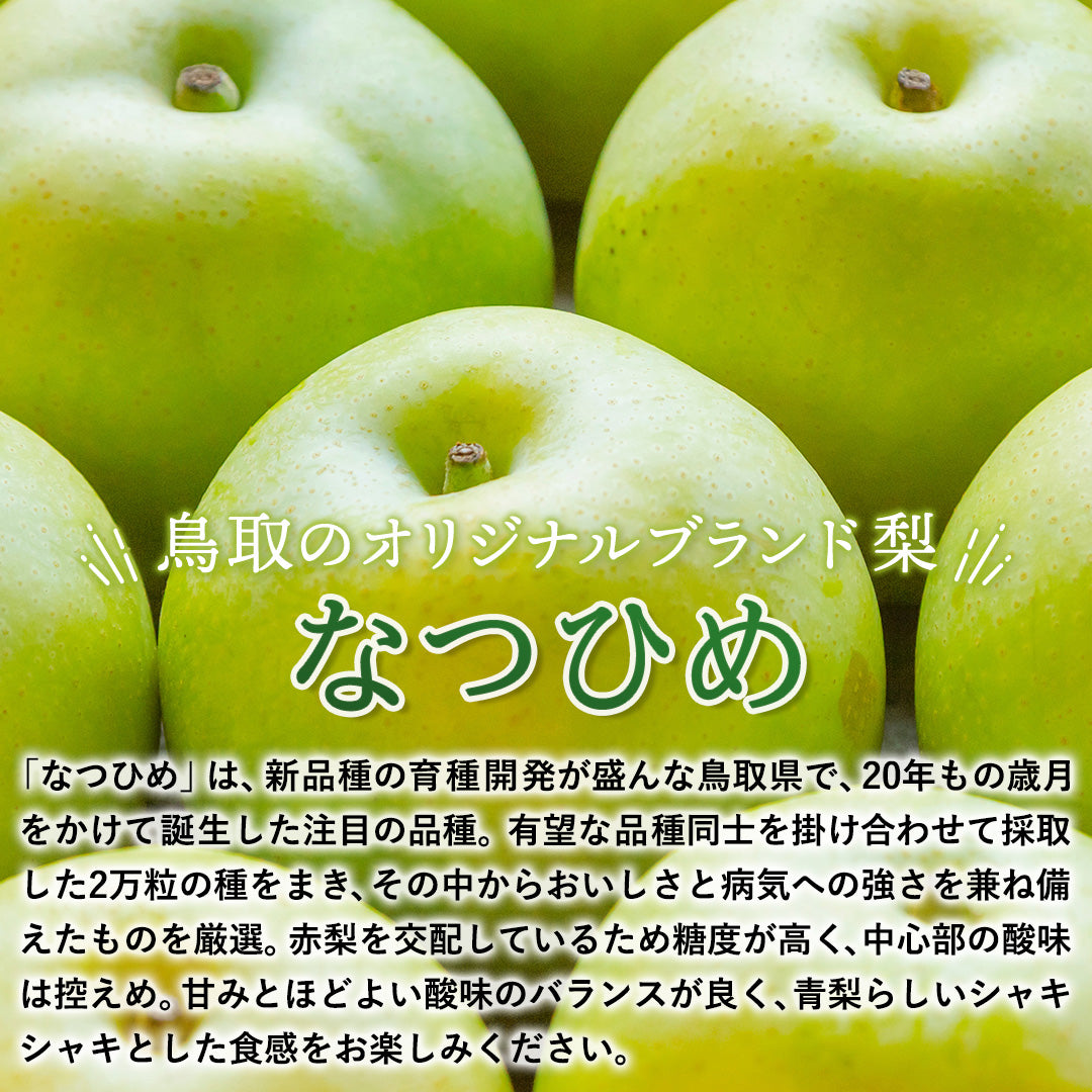 本日限定値下げ‼️ 鳥取県産　『なつひめ』　 5キロ　16玉入り 鳥取県福部町産】訳あり なつひめ 5kg(10～16玉) 安田農園 8月下旬頃