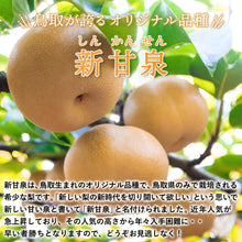 画像をギャラリービューアに読み込む, 【鳥取県青谷町産】新甘泉 秀品 3kg(6～10玉) ひかり農園 8月下旬頃順次発送開始予定
