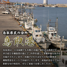 画像をギャラリービューアに読み込む, 【鳥取/鳥取港】獲れたて鮮魚 大家族セット 4〜6種類（6〜8人前）
