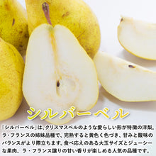 画像をギャラリービューアに読み込む, 【鳥取県青谷町産】シルバーベル 秀品 3kg(5～8個) ひかり農園 11月中旬頃順次発送開始予定
