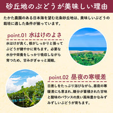 画像をギャラリービューアに読み込む, 【鳥取県倉吉市産】 デラウェア 秀品 800g(400gパック×2)

