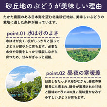画像をギャラリービューアに読み込む, 【鳥取県北栄町産】 高妻 秀品 1.2～1.5kg(2房)
