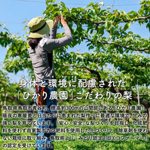 画像をギャラリービューアに読み込む, 【鳥取県青谷町産】新甘泉 秀品 3kg(6～10玉) ひかり農園 8月下旬頃順次発送開始予定
