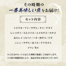 画像をギャラリービューアに読み込む, 【鳥取/鳥取港】獲れたて鮮魚 稚魚セット 3〜4種類（1〜2人前）
