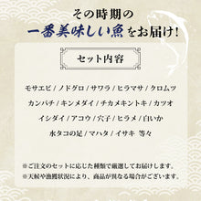 画像をギャラリービューアに読み込む, 【鳥取/鳥取港】獲れたて鮮魚 極上セット  2〜4種類（2〜4人前）
