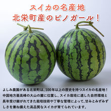 画像をギャラリービューアに読み込む, 【北栄町産スイカ】ピノガール 2玉セット（2.5kg～/1玉）

